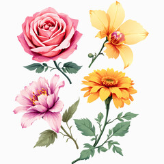 Vibrant pink rose peony yellow daisy and abstract bloom with green highlights and lush leaves.