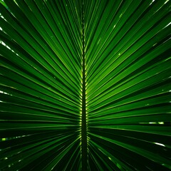 Obraz premium Close-up macro shot of a vibrant green palm leaf, showcasing intricate patterns and natural beauty