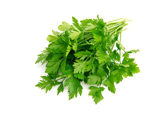 Fresh parsley leaves on white background
