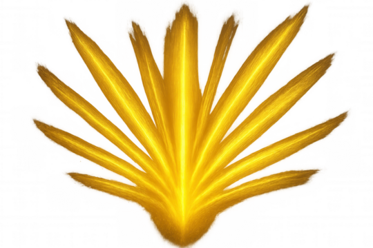 Golden palm leaf shining brightly, isolated on transparent background, perfect for exotic and tropical designs