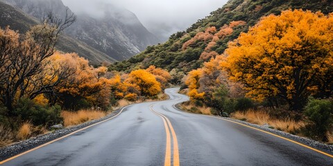 Winding mountain road through vibrant autumn foliage under a foggy sky fall scenic