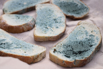 spoiled bread. moldy bread on beige background