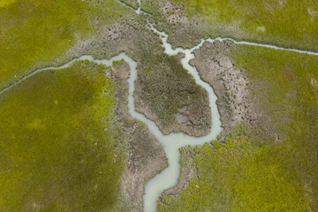 Narrow channels meander through a beautiful salt marsh on Cape Cod, Massachusetts. These natural...