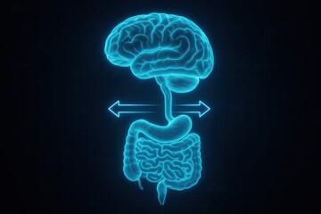 Brain-Gut Axis Illustration: An artistic representation unveils the intricate interplay between the human brain and the gut, depicted as an elegant glowing illustration.