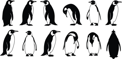 Black and white penguin silhouette vector set showing twelve different poses and angles, minimalistic wildlife illustration for educational, decorative, and design purposes