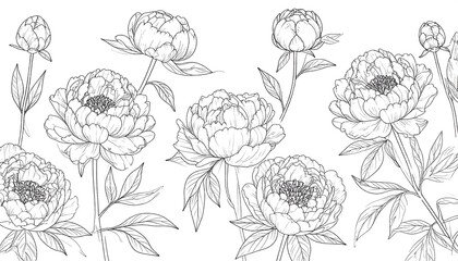 Elegant black and white line drawing of peonies