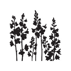 Delphinium Vector (8).eps