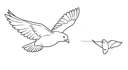 Obraz premium Bird flight outline illustration