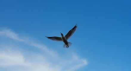 Bird soaring through sky
