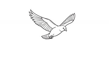 Dove in flight
