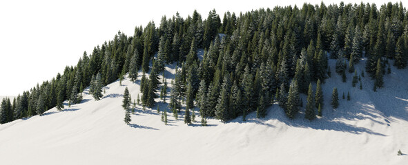 3D render of a pine tree on a mountain in winter with snow on a transparent background