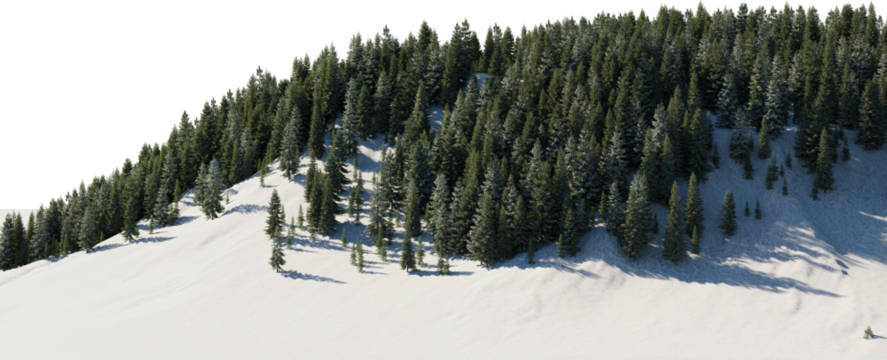 3D render of a pine tree on a mountain in winter with snow on a transparent background