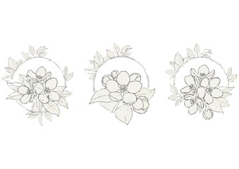 Stylized red tulip flower with green leaves on a white background, vector illustration 
