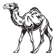 Stylized black and white illustration of a dromedary camel