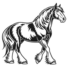Fototapeta premium Powerful shire horse silhouette in black and white
