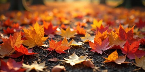Vibrant autumn leaves scattered on the ground, creating a beautiful colorful mosaic of nature , tree, red