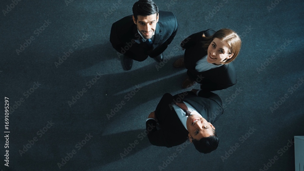 Poster top down aerial view of diverse business team explain marketing strategy while standing and looking 