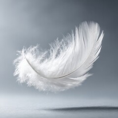 A single white feather floats gracefully in a soft, ethereal light against a muted grey background, showcasing delicate details