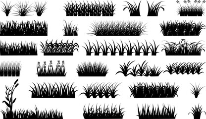 Grass Eps, Vector Images Black and White 