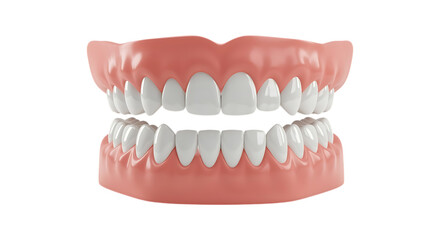 Obraz premium Full Set Of Dentures With White Teeth On a Transparent Background dental mouth