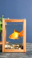 Goldfish in a decorative aquarium