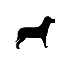 black silhouette of a dog