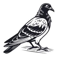 Fototapeta premium Stylized black and white illustration of a pigeon standing