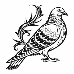 Obraz premium Elegant black and white dove with ornate floral accents