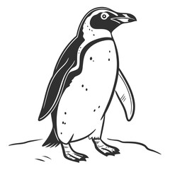 Fototapeta premium Stylized black and white illustration of a penguin standing on a surface