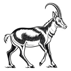 Fototapeta premium Black and white illustration of a majestic antelope walking