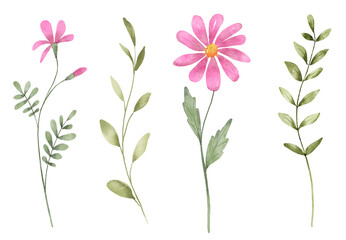 Flowers set, floral watercolor illustration for greeting card, invitation and other printing design. Isolated on white. Hand drawing.