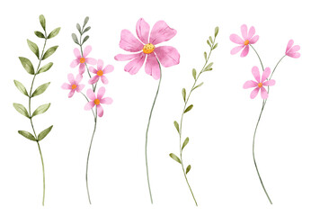 Flowers set, floral watercolor illustration for greeting card, invitation and other printing design. Isolated on white. Hand drawing.