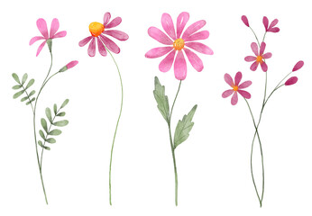 Flowers set, floral watercolor illustration for greeting card, invitation and other printing design. Isolated on white. Hand drawing.