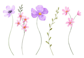 Flowers set, floral watercolor illustration for greeting card, invitation and other printing design. Isolated on white. Hand drawing.