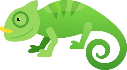 Fototapeta premium Snake , Lizard , Chameleon , Iguana , Toad , Salamander , Frog , Tortoise , Alligator , Raccoon , Skunk , Otter , Badger , Mole , Weasel , Possum