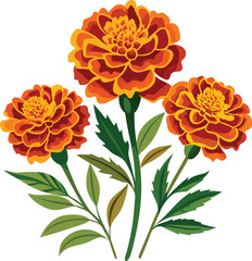 set of marigold flowers