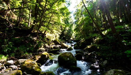 Lush forest stream