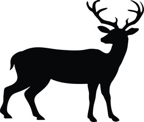 Fototapeta premium Majestic Standing Deer Silhouette with Antlers 