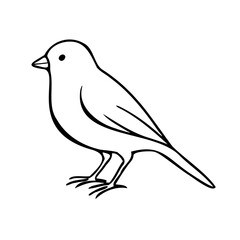 Obraz premium Small songbird perched in clean black outline style, perfect for wildlife guide, educational print 