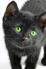 Cute plush black kitten toy with green eyes, placed on white background, isolated object.

