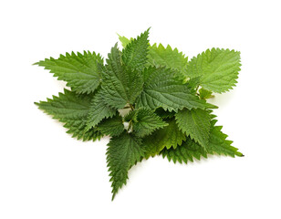 Leaves green nettle.