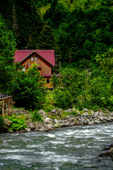 Stuning forest and river views of Karadeniz Black Sea region of Northern Turkey Camlihemsin Cat Village in Rize Turkey