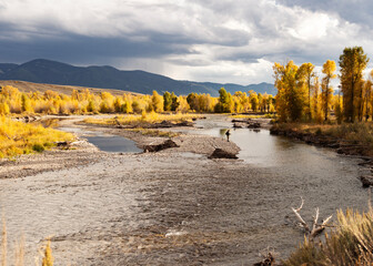 autumn landscape in the mountains