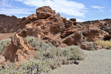 Scenic view of volcanic rock formations with blooming wildflowers in Teide National Park, Tenerife, Canary Islands. Natural volcanic landscape with desert plants and blue sky.