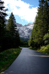 Fototapeta premium Narrow mountain road leads through dense pine forest toward towering rocky peaks, symbolizing journey into wilderness and connection between human paths and natural grandeur. 
