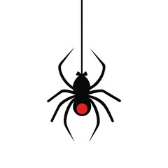 A spider descends or ascends on a rope vector art illustration