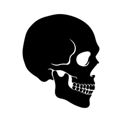 Obraz premium Black human skull silhouette in profile view isolated on white 1.