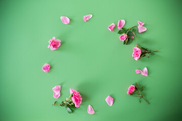 Top view of branches of roses on a green background