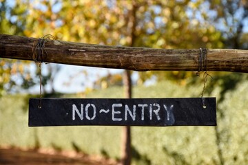 Handmade 'No Entry' sign painted on wood, hanging in natural outdoor setting