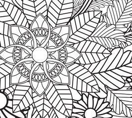 Obraz premium Ink drawn floral border coloring pages for adults 